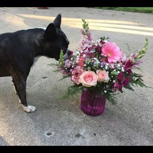 Meet your Posher, Sara